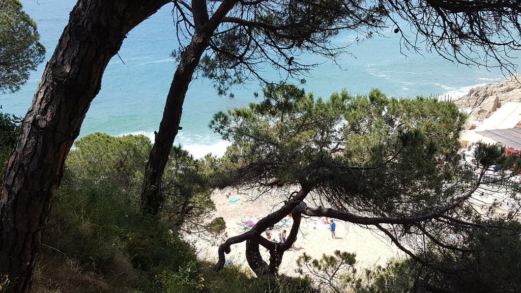Apartamento Mediterraneo Pineda de Mar Kültér fotó