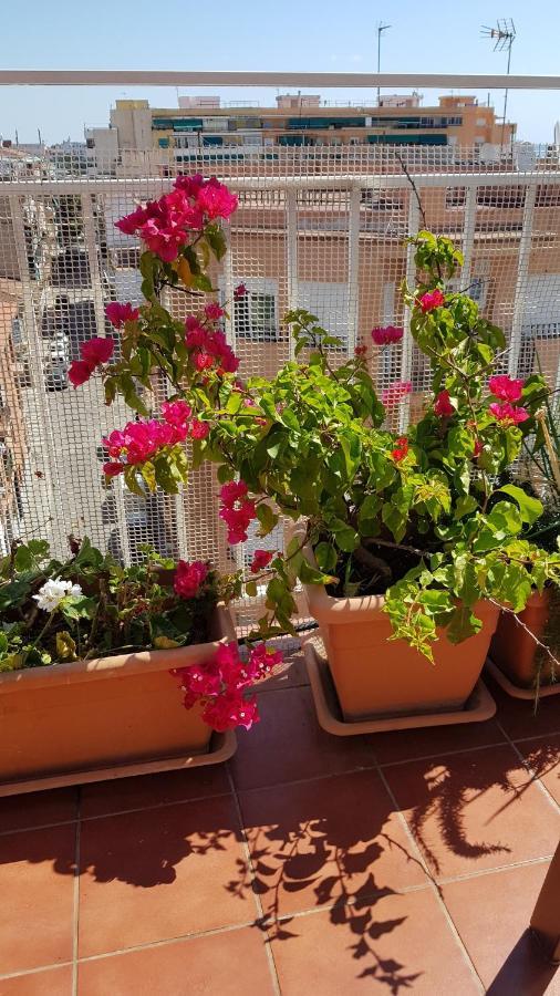 Apartamento Mediterraneo Pineda de Mar Kültér fotó